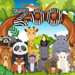 -Adventure at the Zoo-